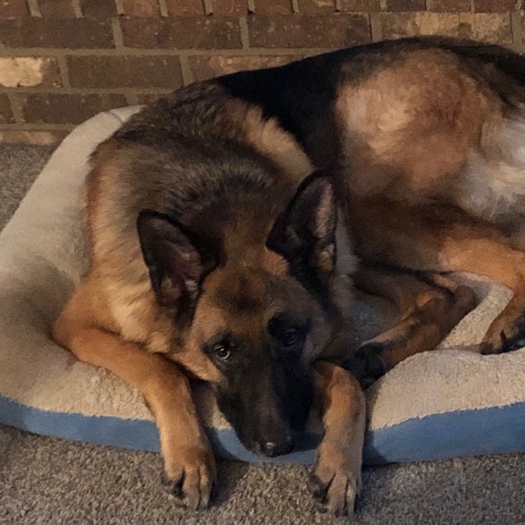 Meet your Posher, Debbie - Picture 3 of 8